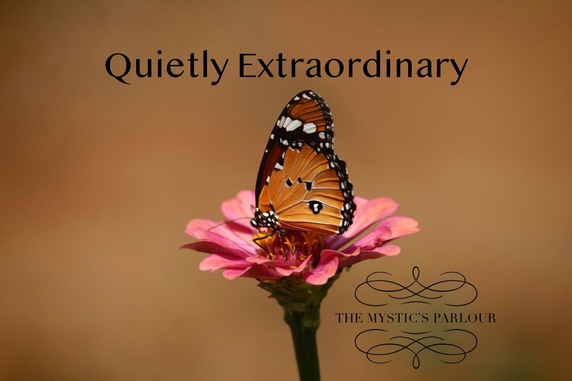 Quietly Extraordinary