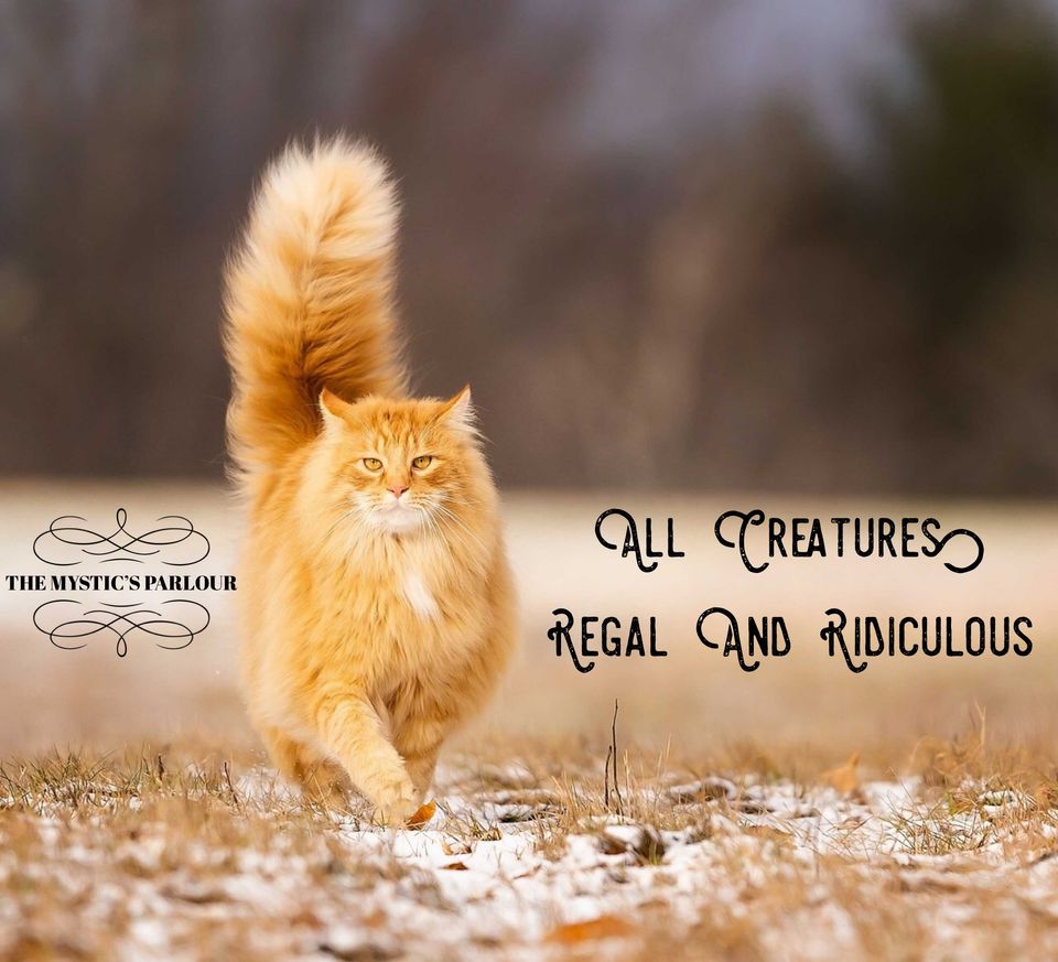 All Creatures, Regal And Ridiculous - Part II