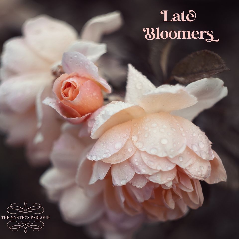 On Being A Late Bloomer