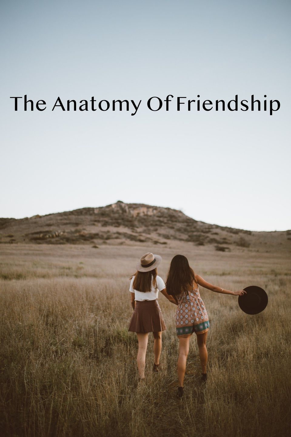 The Anatomy of Friendship