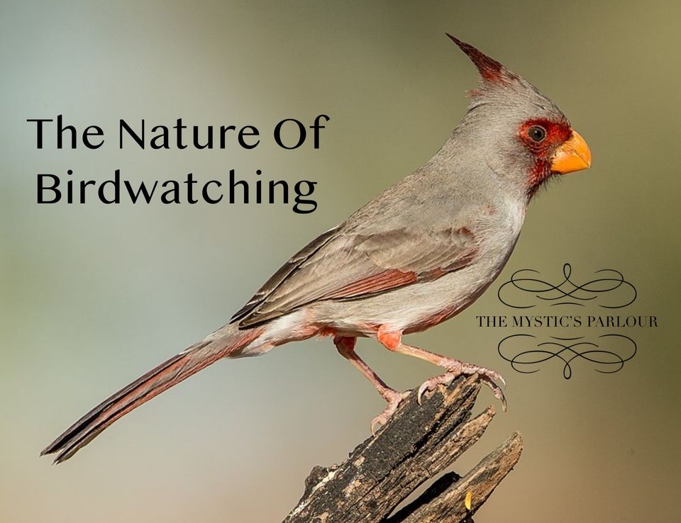 The Nature of Birdwatching