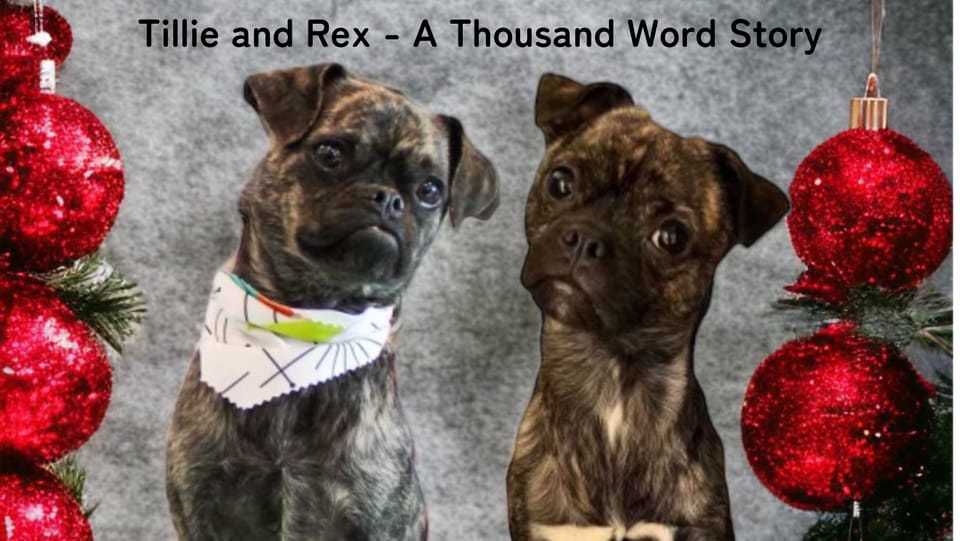 Tillie and Rex - A Thousand Word Story