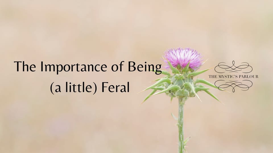 The Importance of Being (a little) Feral