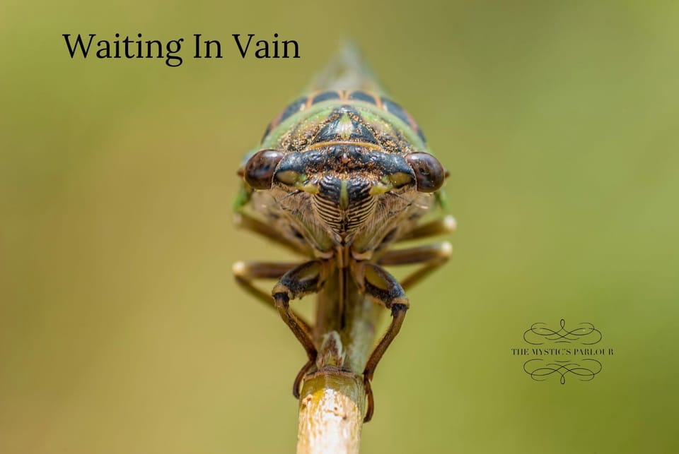 Waiting In Vain